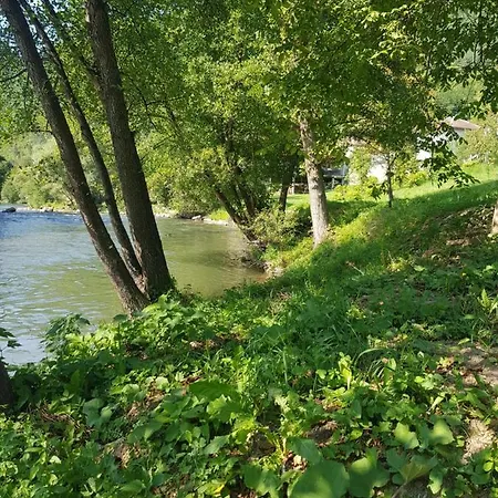 Vinac * Jajce